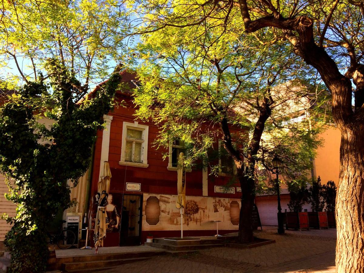 Eszterhazy Guesthouse Vac Ngoại thất bức ảnh