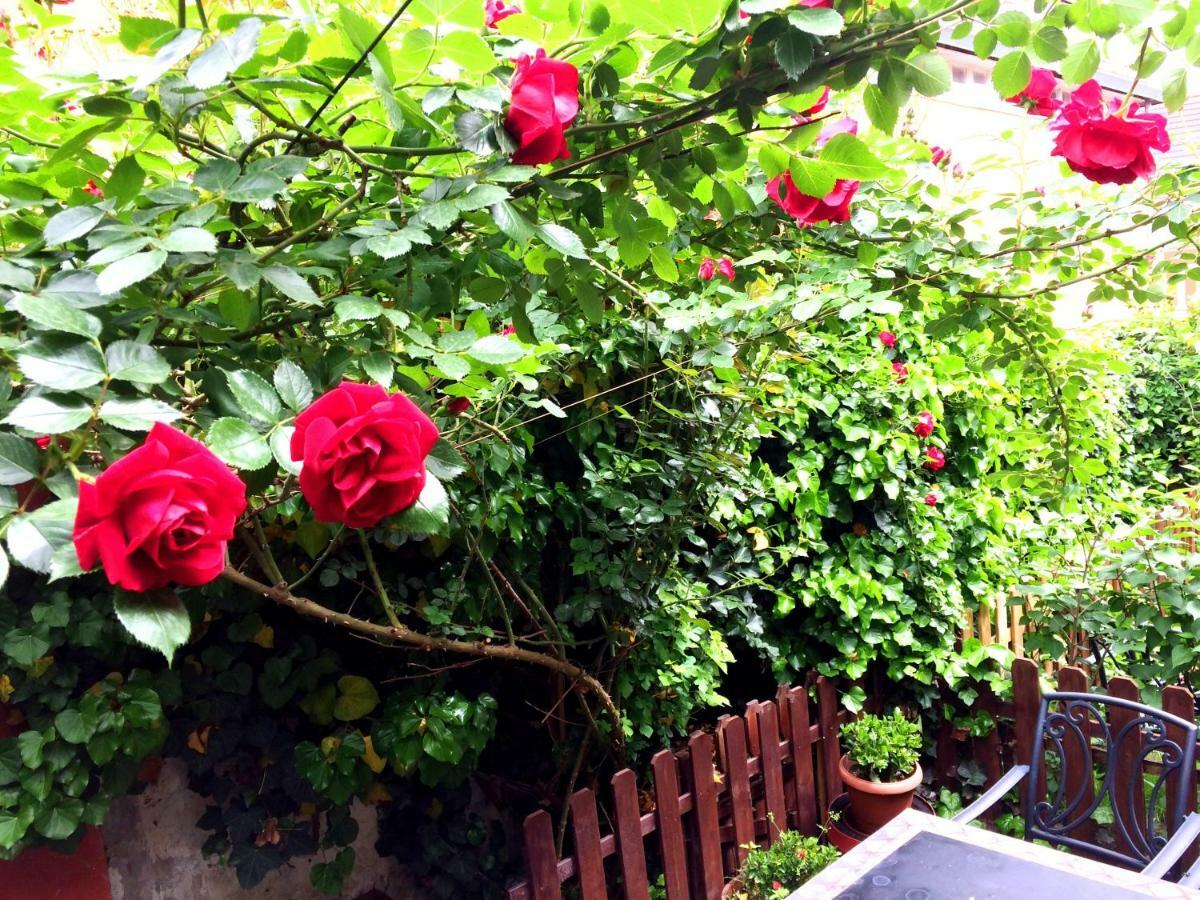 Eszterhazy Guesthouse Vac Ngoại thất bức ảnh